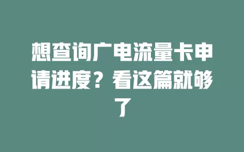 想查询广电流量卡申请进度？看这篇就够了
