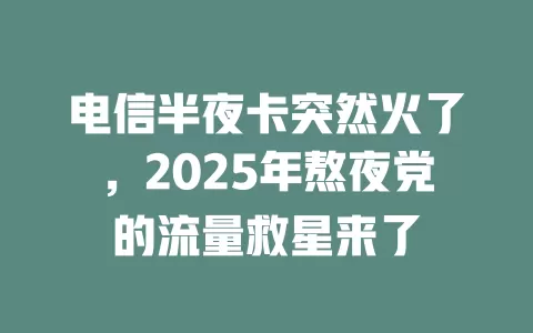 电信半夜卡突然火了，2025年熬夜党的流量救星来了