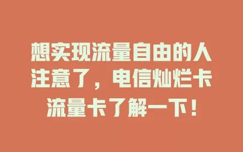 想实现流量自由的人注意了，电信灿烂卡流量卡了解一下！
