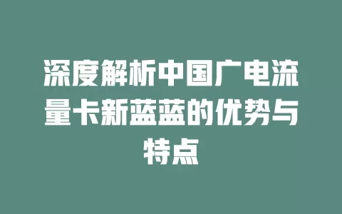 深度解析中国广电流量卡新蓝蓝的优势与特点
