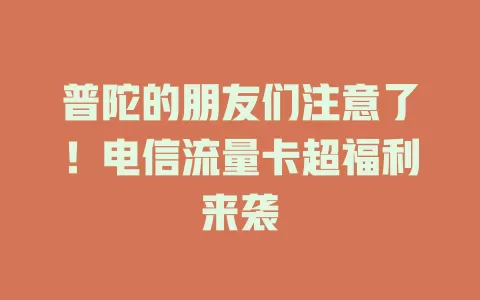 普陀的朋友们注意了！电信流量卡超福利来袭