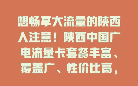 想畅享大流量的陕西人注意！陕西中国广电流量卡套餐丰富、覆盖广、性价比高，是你的不二之选，速来开启畅快流量之旅！
