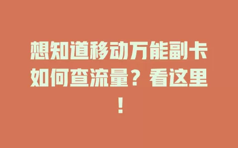想知道移动万能副卡如何查流量？看这里！