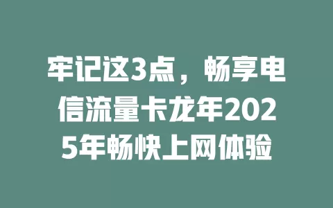 牢记这3点，畅享电信流量卡龙年2025年畅快上网体验