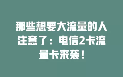 那些想要大流量的人注意了：电信2卡流量卡来袭！