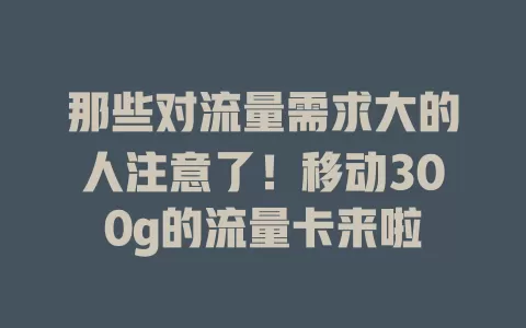 那些对流量需求大的人注意了！移动300g的流量卡来啦