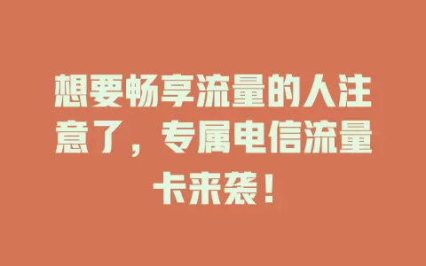 想要畅享流量的人注意了，专属电信流量卡来袭！