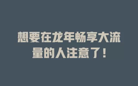 想要在龙年畅享大流量的人注意了！