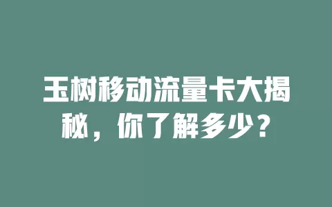 玉树移动流量卡大揭秘，你了解多少？