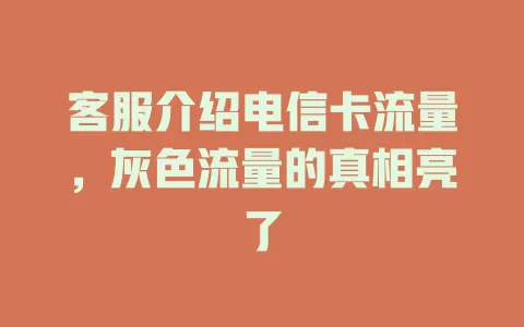 客服介绍电信卡流量，灰色流量的真相亮了