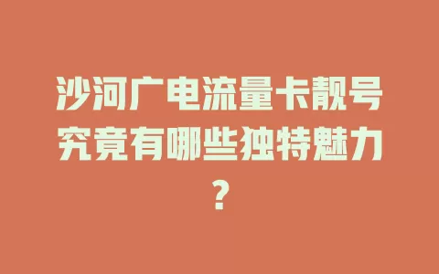 沙河广电流量卡靓号究竟有哪些独特魅力？