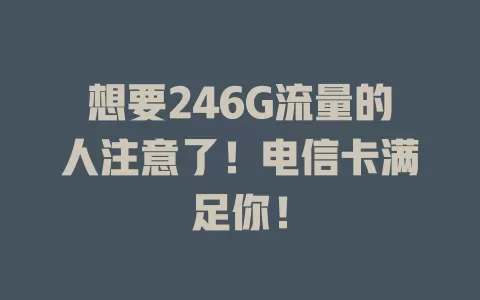 想要246G流量的人注意了！电信卡满足你！