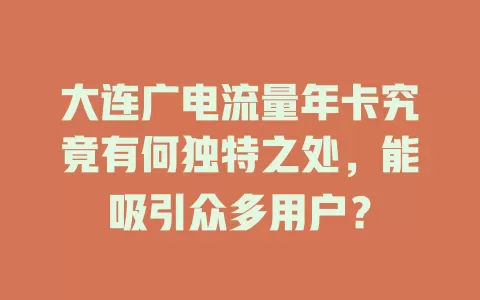 大连广电流量年卡究竟有何独特之处，能吸引众多用户？