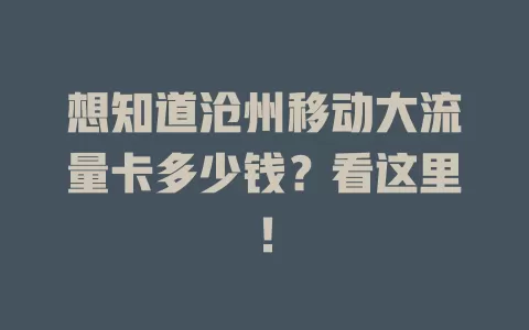 想知道沧州移动大流量卡多少钱？看这里！
