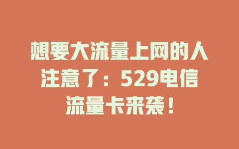 想要大流量上网的人注意了：529电信流量卡来袭！