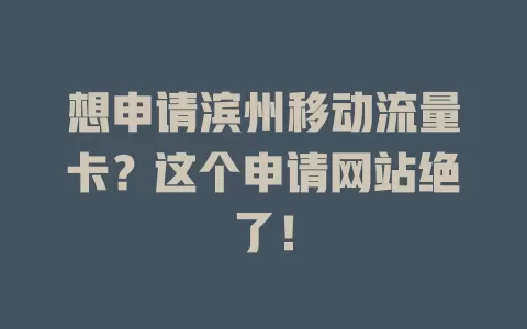 想申请滨州移动流量卡？这个申请网站绝了！