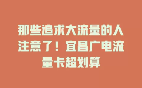 那些追求大流量的人注意了！宜昌广电流量卡超划算