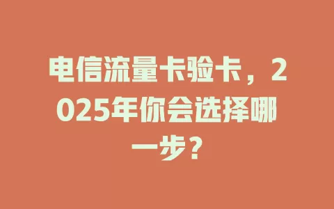 电信流量卡验卡，2025年你会选择哪一步？