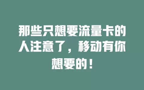 那些只想要流量卡的人注意了，移动有你想要的！