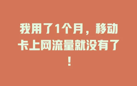 我用了1个月，移动卡上网流量就没有了！