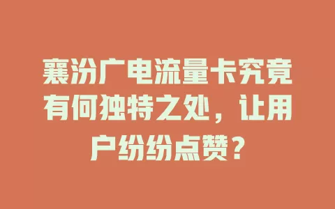 襄汾广电流量卡究竟有何独特之处，让用户纷纷点赞？