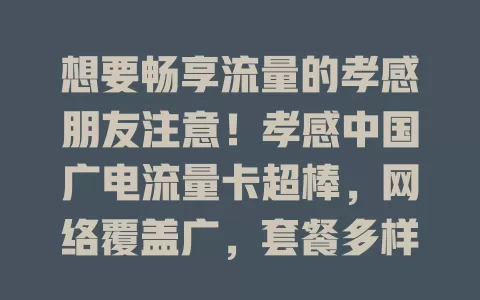 想要畅享流量的孝感朋友注意！孝感中国广电流量卡超棒，网络覆盖广，套餐多样性价比高，让你轻松记录生活、高效工作