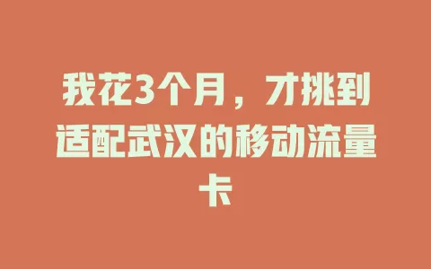 我花3个月，才挑到适配武汉的移动流量卡