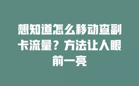 想知道怎么移动查副卡流量？方法让人眼前一亮