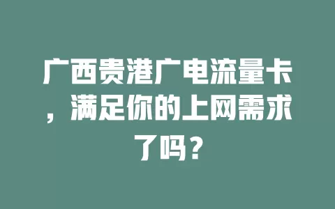 广西贵港广电流量卡，满足你的上网需求了吗？