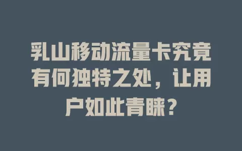 乳山移动流量卡究竟有何独特之处，让用户如此青睐？