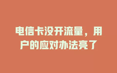 电信卡没开流量，用户的应对办法亮了