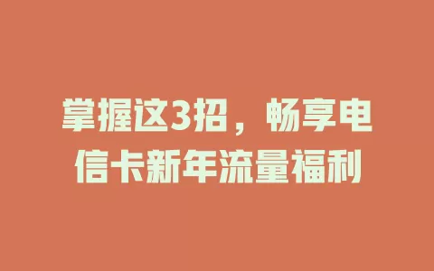 掌握这3招，畅享电信卡新年流量福利
