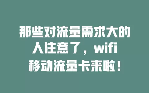 那些对流量需求大的人注意了，wifi移动流量卡来啦！