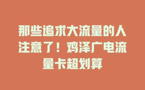 那些追求大流量的人注意了！鸡泽广电流量卡超划算