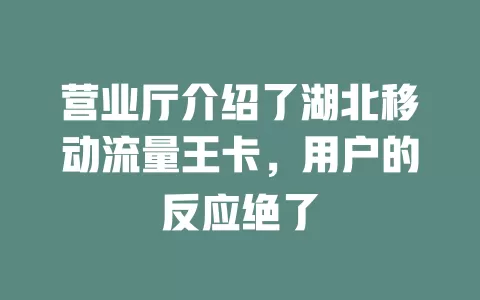 营业厅介绍了湖北移动流量王卡，用户的反应绝了