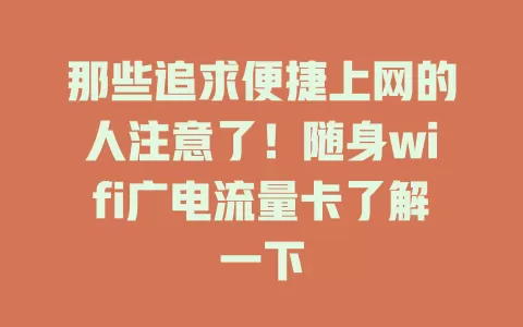 那些追求便捷上网的人注意了！随身wifi广电流量卡了解一下