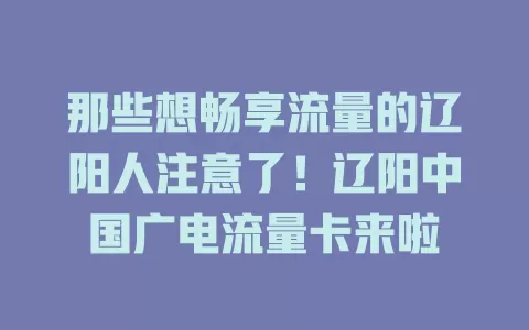 那些想畅享流量的辽阳人注意了！辽阳中国广电流量卡来啦