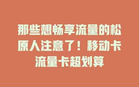 那些想畅享流量的松原人注意了！移动卡流量卡超划算