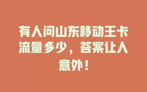 有人问山东移动王卡流量多少，答案让人意外！