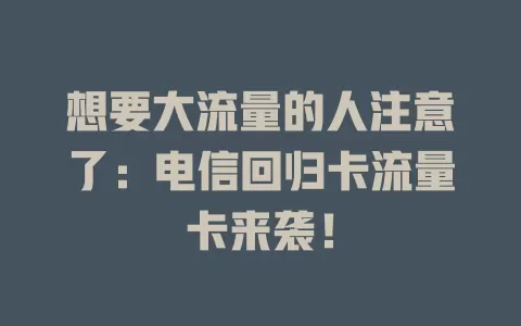 想要大流量的人注意了：电信回归卡流量卡来袭！