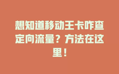 想知道移动王卡咋查定向流量？方法在这里！