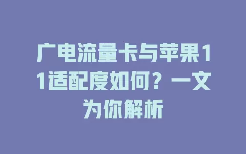 广电流量卡与苹果11适配度如何？一文为你解析