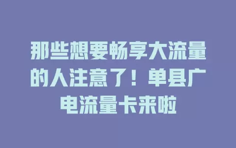 那些想要畅享大流量的人注意了！单县广电流量卡来啦