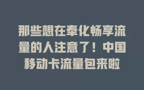 那些想在奉化畅享流量的人注意了！中国移动卡流量包来啦