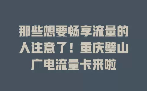 那些想要畅享流量的人注意了！重庆璧山广电流量卡来啦