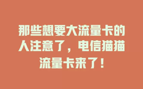 那些想要大流量卡的人注意了，电信猫猫流量卡来了！