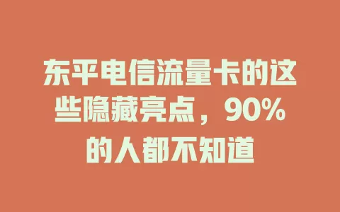 东平电信流量卡的这些隐藏亮点，90%的人都不知道