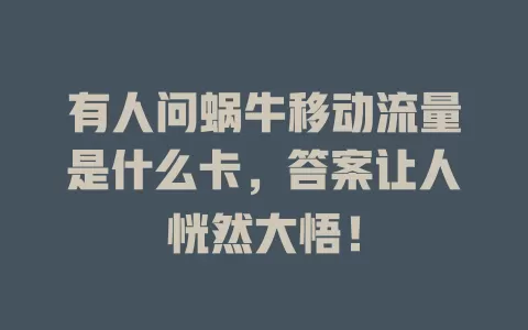 有人问蜗牛移动流量是什么卡，答案让人恍然大悟！