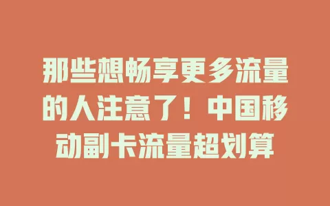 那些想畅享更多流量的人注意了！中国移动副卡流量超划算