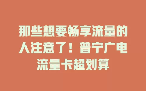 那些想要畅享流量的人注意了！普宁广电流量卡超划算